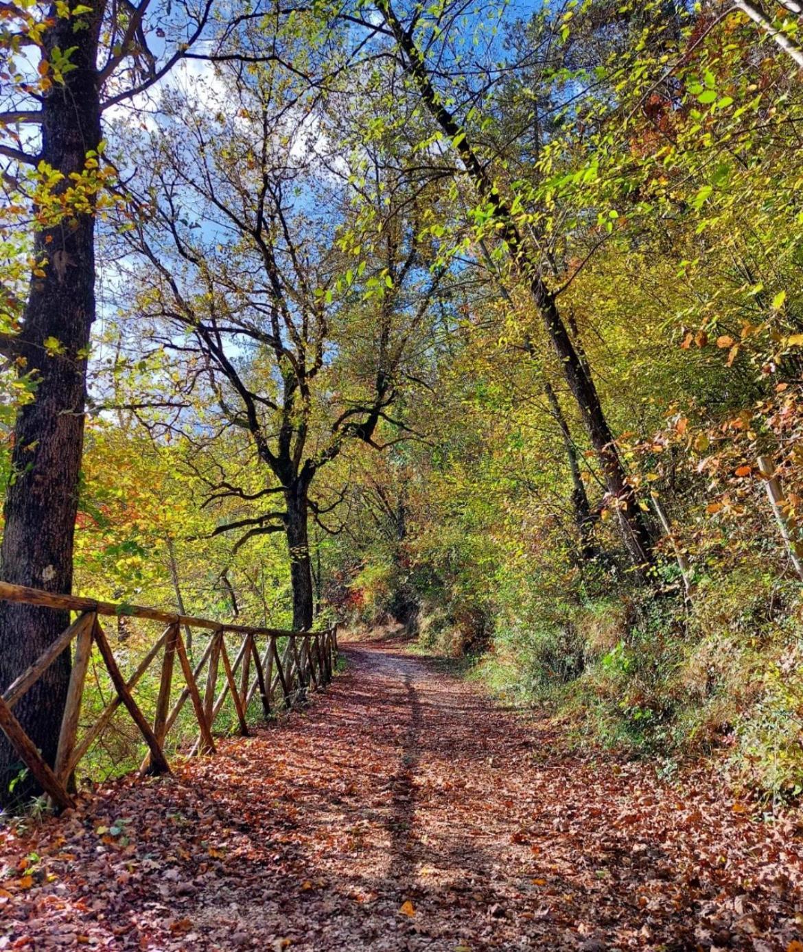 Locanda Della Pieve Pievebovigliana Экстерьер фото