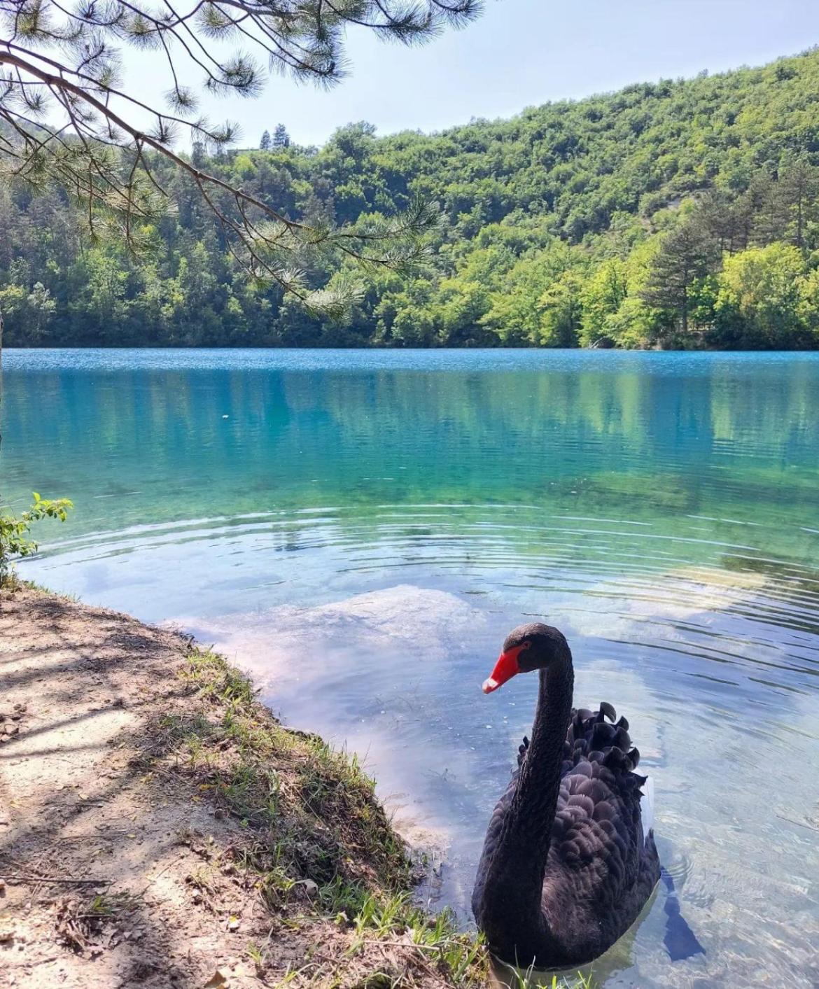 Locanda Della Pieve Pievebovigliana Экстерьер фото